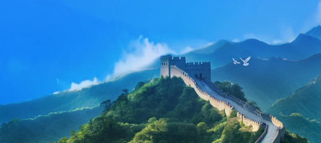 陕西省电子税务局与全国统一办税服务终端实景